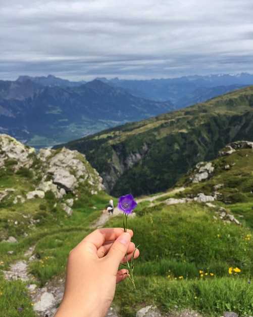 Can Mirtazapine Cause Hallucinations?