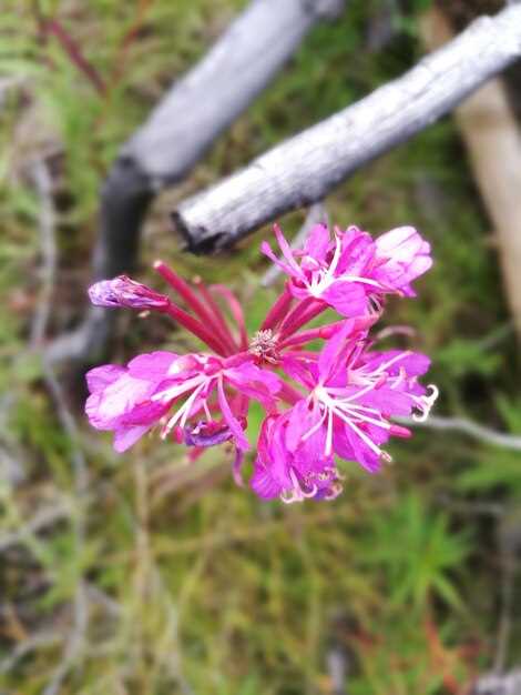 4. Can Crestor rosuvastatinum cause muscle pain?