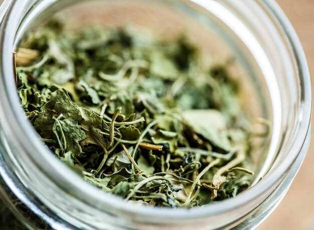 How to Incorporate Herb Interactions into Your Health Routine