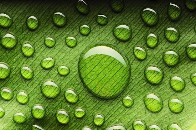 1. Common side effects: