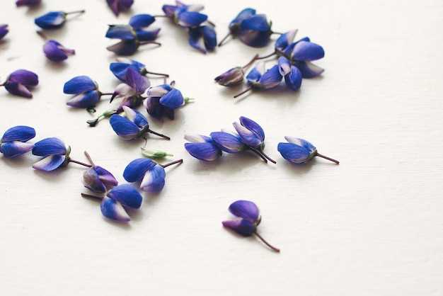 Benefits of Mirtazapine