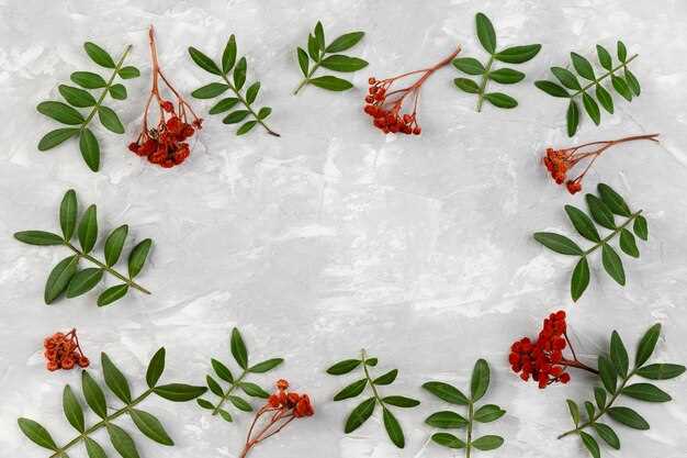 Understanding Hair Loss