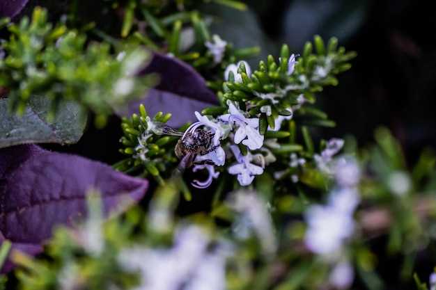 undefinedWhat are withdrawal symptoms?</strong>