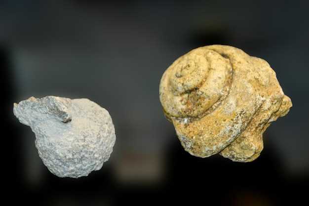 Precautions When Using Pantoprazole