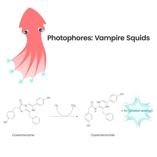 Safety and Side Effects