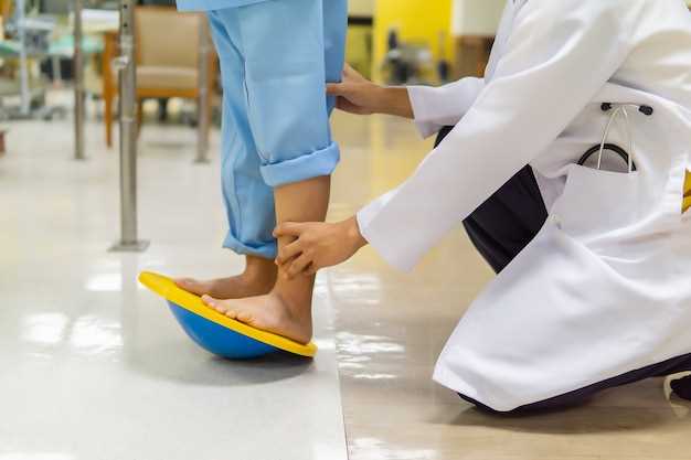 Description of the product