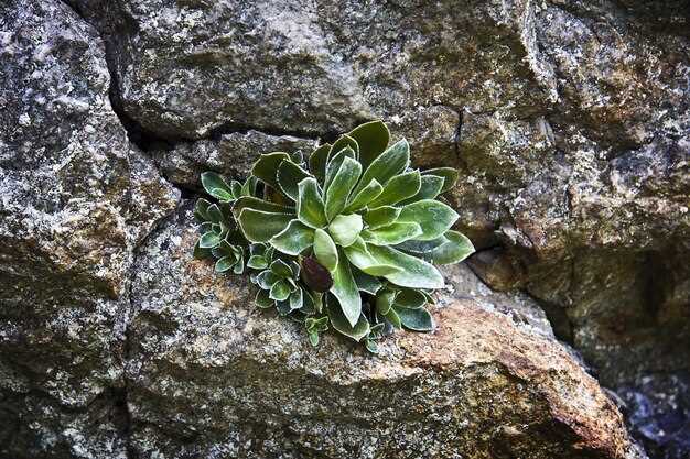 Side Effects to Be Aware Of