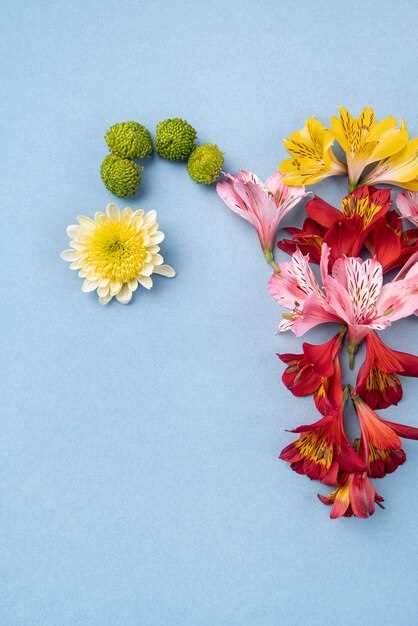 Benefits of Metformin