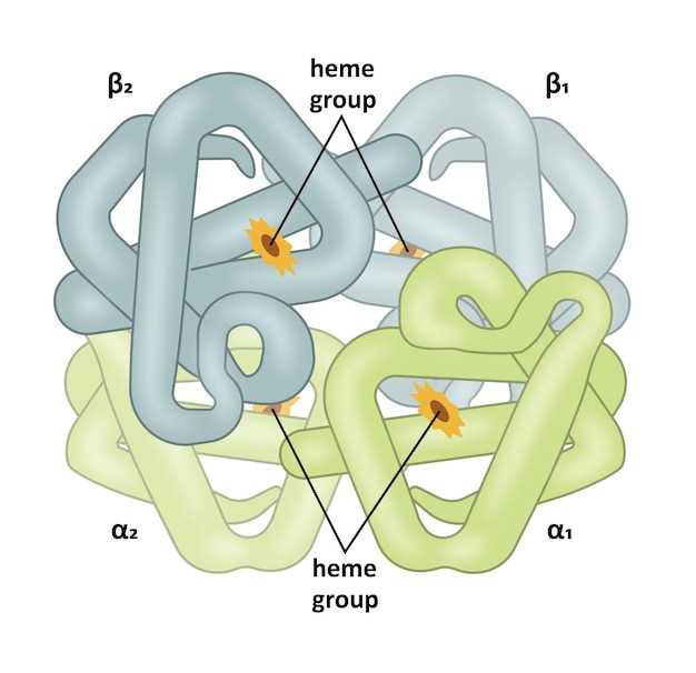 Duration of Treatment