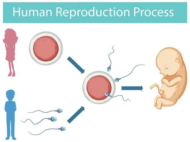 Menses and Menstrual Cycle