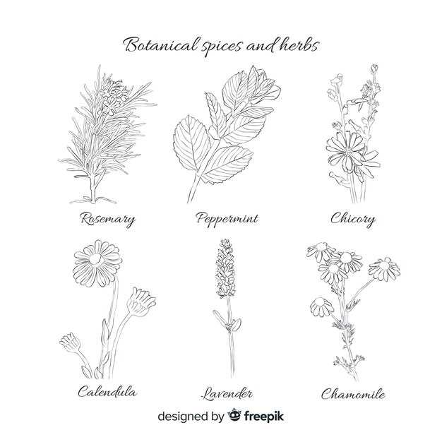 Comparison with Other Treatments