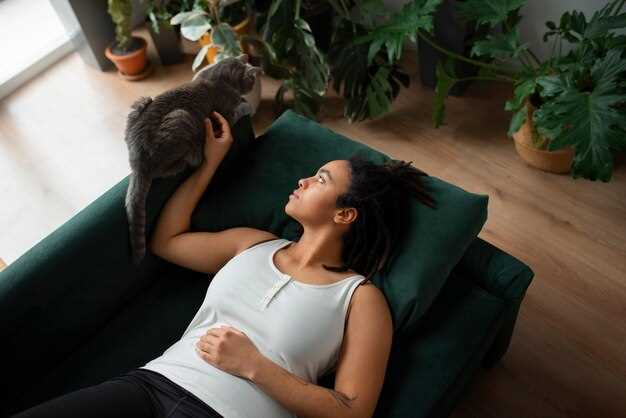 Understanding the mechanism